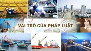 Vai trò và ý nghĩa của thư viện pháp luật